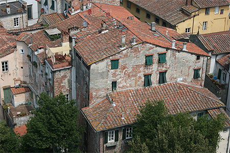 Vue depuis la Torre Guinigi