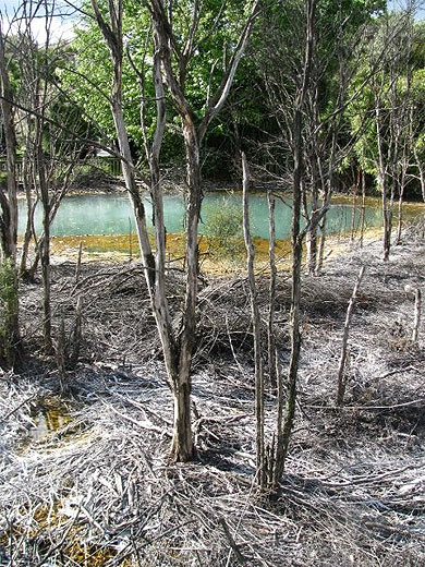 Activit� volcanique