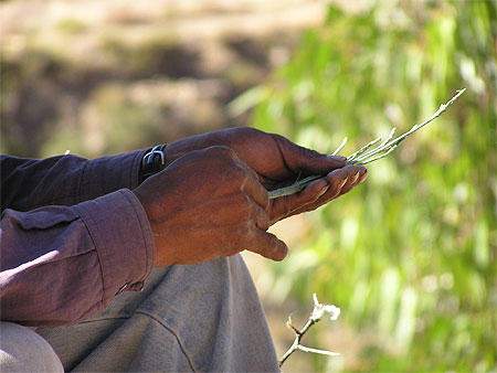 Paysan de Putre