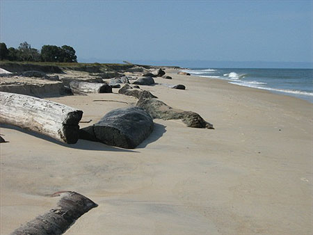 Plage Nyoni�