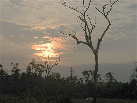 Coucher de soleil