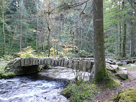 Ponts des Iles Marie-Louise � G�rardmer