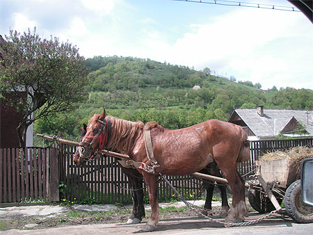 Maramures
