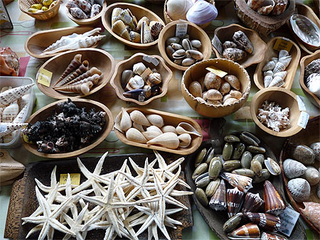 Coquillages au march� couvert