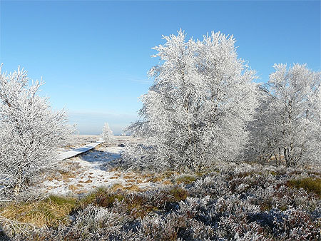 Les Hautes Fagnes