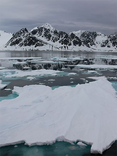Morceaux de banquise sur la c�te nord du Spitzberg