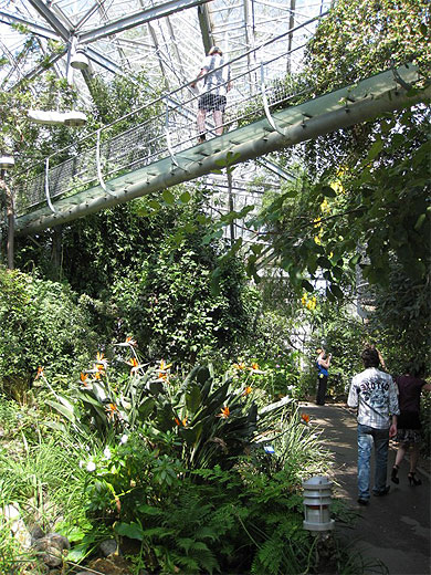 Au Jardin Botanique