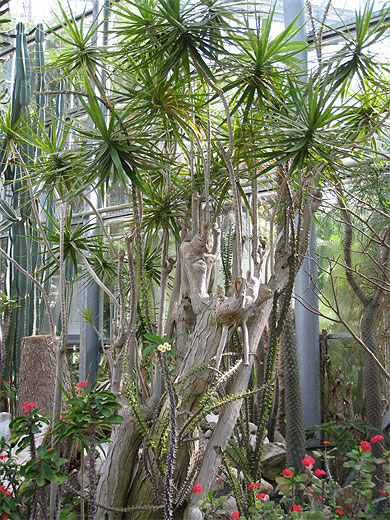 Au Jardin Botanique