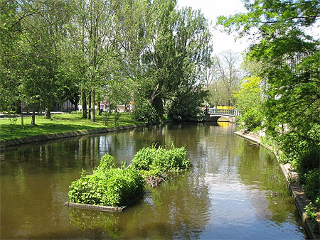 Un peu de s�r�nit� grace au Jardin Botanique