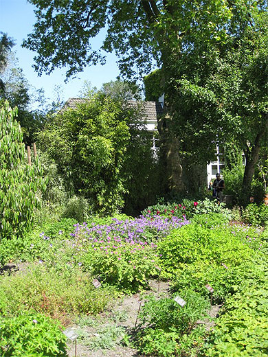 Jardin Botanique