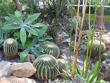 Au Jardin Botanique