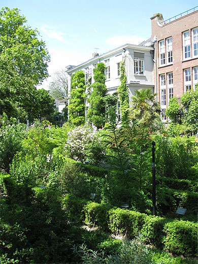 Jardin Botanique