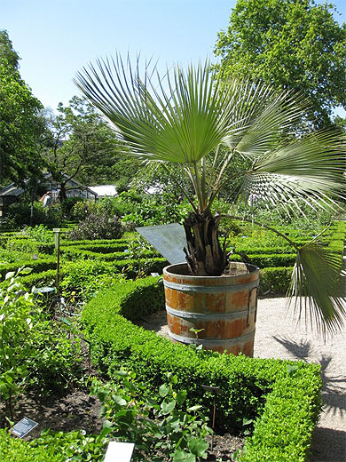 Au Jardin Botanique