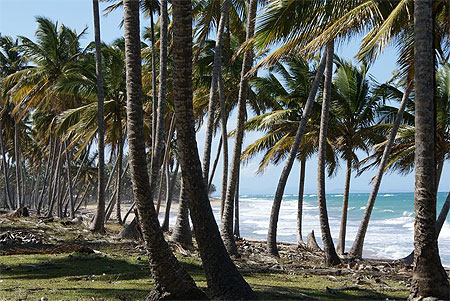 Plage vierge
