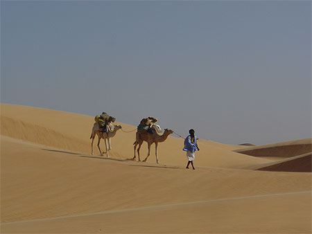 M�har�e dans le Sahara
