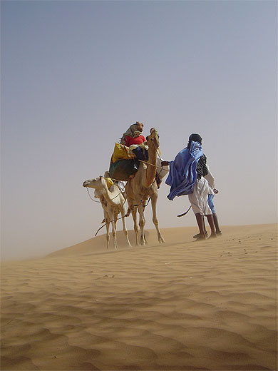 M�har�e dans le Sahara