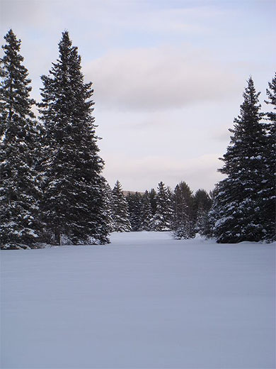 Paysage eneig�