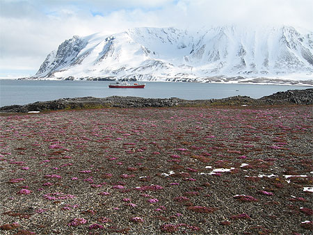Dans un fjord � Spitzberg
