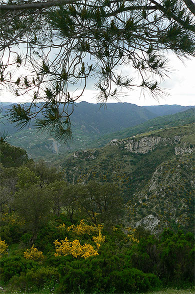 Parc r�gional d'Aspromonte