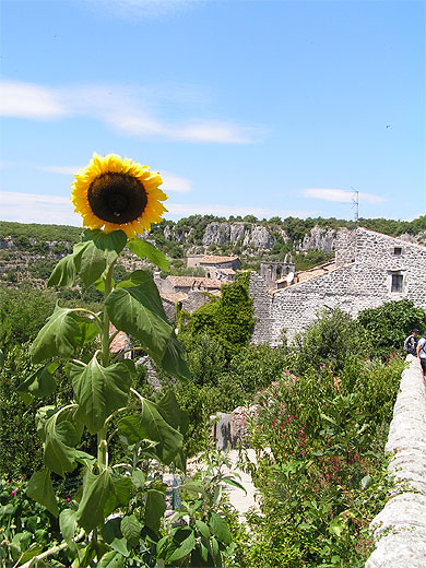 Balazuc (vue)