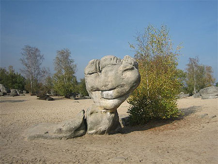 En for�t de Fontainebleau