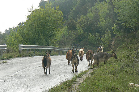 La route est � tout le monde