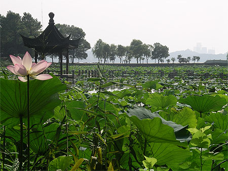 Sur le lac de l'ouest � Hangzhou