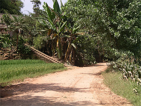 Au coeur de la campagne Sichuanaise