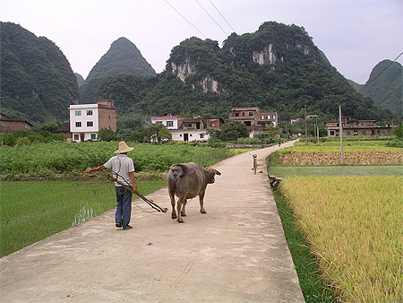 Dans la campagne de Yangshuo