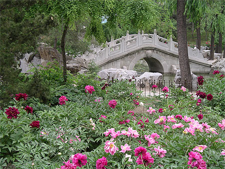 Au grand view garden de P�kin