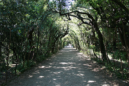 Tunnel