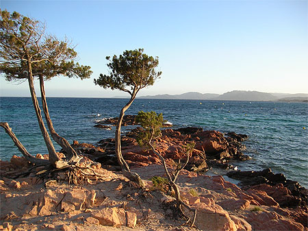Sur la plage de la Palombaggia