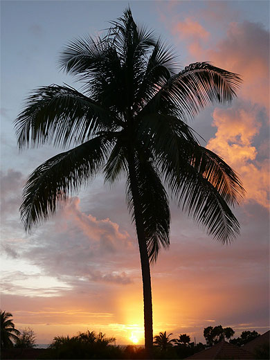 Coucher de soleil � Sant-Anne