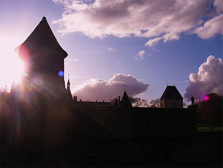 Ch�teau de Commarin