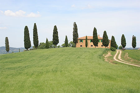 Paysage non loin de Pienza