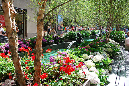 Fleurs de New York