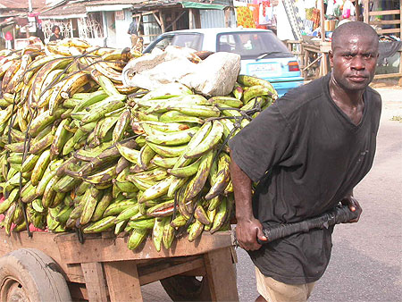 Porteur de bananes