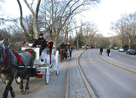 Cal�ches dans Central Park