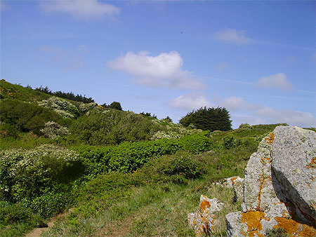 Ile d'Yeu