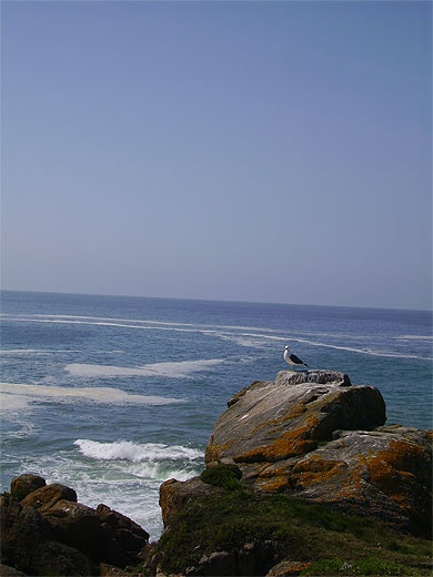 Ile d'Yeu