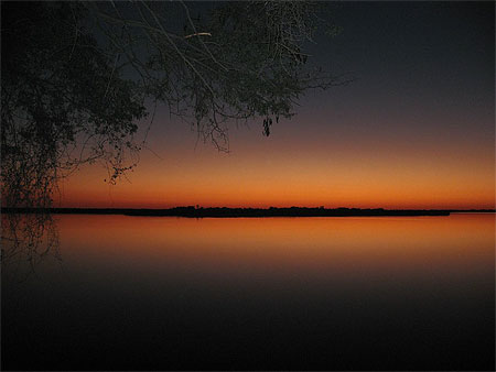 Lever de soleil sur l'Okavango