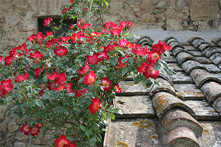 Printemps � Monticchiello