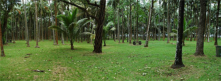 Anse des Cascades