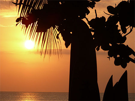 Coucher de soleil 