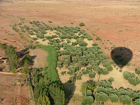 Montgolfi�re � Marrakech