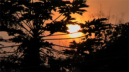 Couch� de soleil sur Bl�anianda