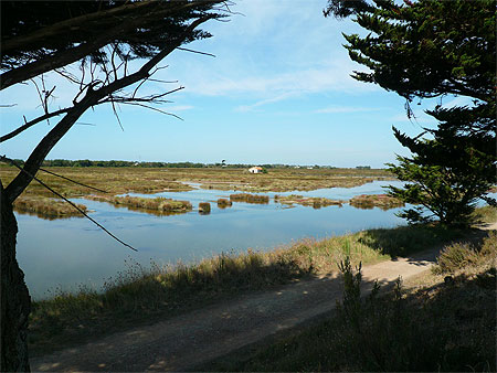 Marais de Noirmoutier