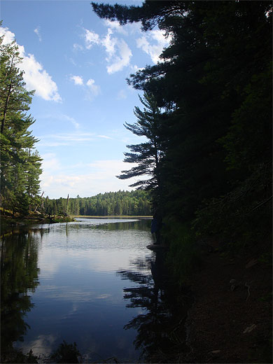 Algonquin Park - "Beaver Pond" trail