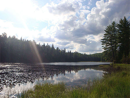 Algonquin Park - "Beaver Pond" trail