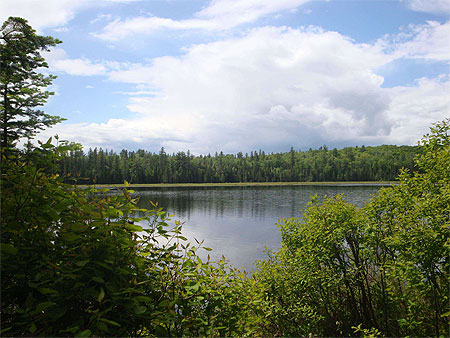 Algonquin Park - "Mizzi Lake" trail